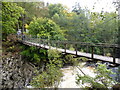 NN2981 : The Monessie Gorge suspension bridge by Richard Law