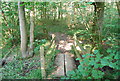 Footbridge in Book Hurst Wood