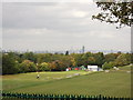 View from Brenchley Gardens