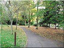 TQ3574 : Green Chain Walk in Brenchley Gardens (2) by David Anstiss