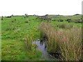 Water and rushes, Mulnafye