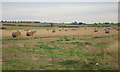 SK9397 : Big bales in the field by roger geach