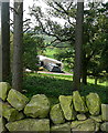 Barn at Hunt House