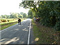 Blackwell Common, jaywalking ponies