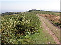 Ridge track, on Grabbist Hill