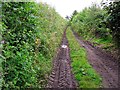 Public bridleway to Shiel Lonning