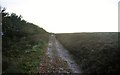 SS8741 : Exmoor : Moorland Footpath by Lewis Clarke