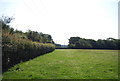 Footpath along a hedge