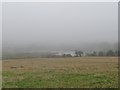 The Ballydargan Lake partly hidden by the Haar