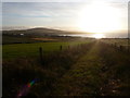 Kirkwall: farm track from Work Road to the evening sun