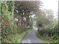 View eastwards along Erenagh Road