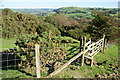 Stile and fence above the Rheidol valley