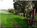 Ballywillin Townland