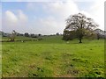 Ballywillin Townland