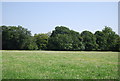 Farmland and woodland, Waterland Farm