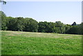 Farmland and woodland north of Waterland Farm