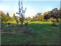 The Forest Garden, Birchfields Park