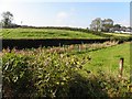 Ballycloughan Townland