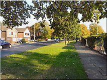 SJ8687 : Cheadle Road (A5149) by David Dixon