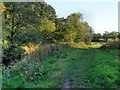 The Ladybrook Valley