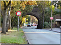 Railway Bridge, Bird Hall Lane