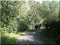 Riding on Gumhurn Lane 