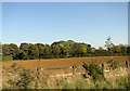 Cultivated field east of the A15 road, Scawby