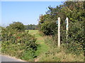 Bridleway to Bussocks Wood