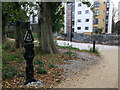TQ3678 : National Cycle Milepost in Pepys Park by David Anstiss