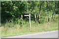 Footpath off Ockley Rd