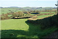 Hedgerow above Tyncwm