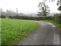 A wide verge on a bend on the Ballykeel Road