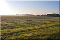 Early Morning Mist Across Fields Above Berkhamsted