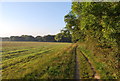 Pathway North West of Berkhamsted