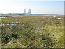 TR3462 : Marshland at Sandwich Bay by Nick Smith
