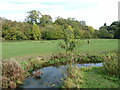 River Meden, Pleasley Vale