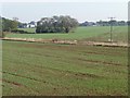 SE5111 : Drainage dike running across a greening field by Christine Johnstone