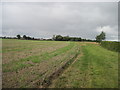 Fieldside  Footpath  to  Kelfield