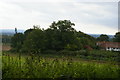 Looking south off the Greensand Way, near Wychcroft