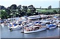 Boats moored on the River Hamble