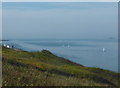 The downs and coast, Herne Bay