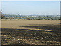 Farmland near Lower Mickletown