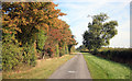 Autumn Colours in rural lincs