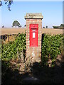 TM3351 : Friday Street Victorian Postbox by Geographer