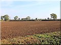 Ploughed field to north of Station Road