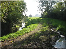ST3954 : The Cheddar Yeo, looking upstream by David Purchase