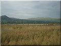 View towards Tal y Fan