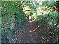 TM3865 : Path past St Mary's churchyard, Kelsale by Evelyn Simak