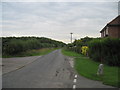 Lane  to  Holme  Green  from  Appleton  Roebuck