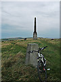 Trig pillar and monument, Bishop Park